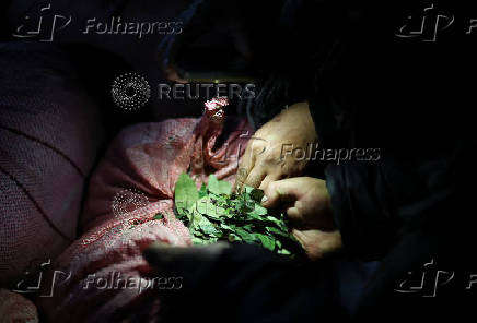 Inside a coca farm and market in Bolivia's countryside ahead of the general election