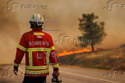 Wildfires in Portugal