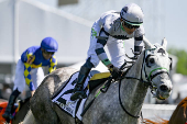 Horse Racing: 150th Preakness