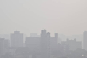 Climatempo em São Paulo nevoeiro