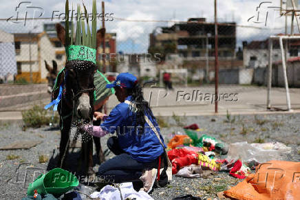19th Regional Donkey Competition in Moniquira