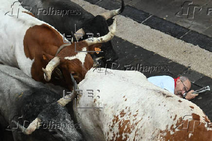Vuelven a Pamplona los toros de José Escolar para el sexto encierro de los Sanfermines