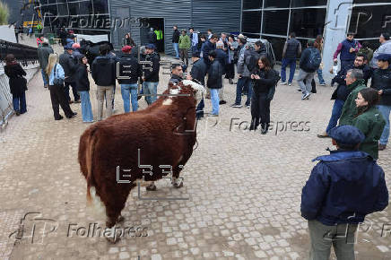 El potente sector rural de Argentina abre su tradicional feria entre reclamos a Milei