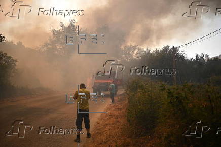 Wildfire in Greece's Peloponnese region