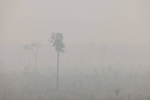 Especial queimadas, seca e clima seco no país