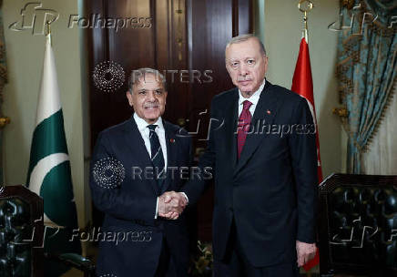 Turkey?s President Erdogan shakes hands with Pakistan's PM Sharif before their meeting in Istanbul