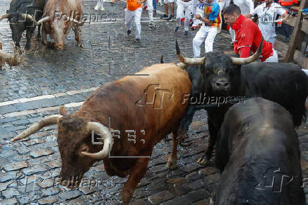 Los toros de La Palmosilla protagonizan este domingo el séptimo encierro de San Fermín