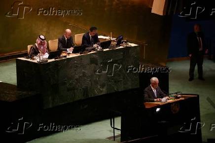 conferência internacional de alto nível para a solução pacífica da questão da Palestina e a implementação da solução de dois Estados.