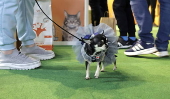 Pet Expo 2025 in Bucharest