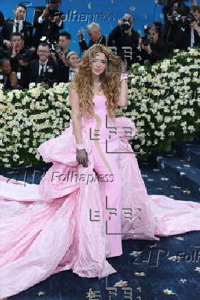 2025 Met Gala red carpet at the Metropolitian Museum of Art in New York