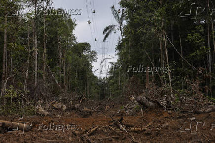 Área desmatada para a obra do linhão Manaus - Boa Vista
