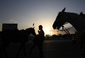 Horse riding in Sana'a