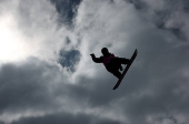 FIS Freestyle World Championships