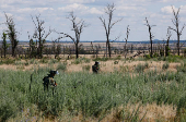 Russian sappers demine area in Donetsk region amid Russia-Ukraine conflict