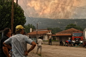 Wildfire in Feneos, Corinth, southern Greece