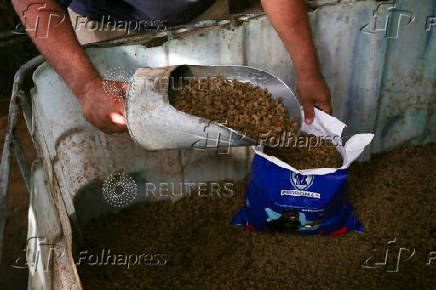 Honduran entrepreneurs turn cooking oil into dog food, soap