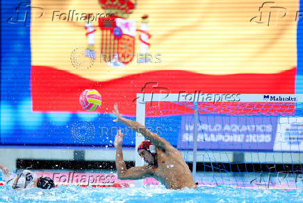 World Aquatics Championships