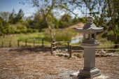 Jardim Japonês no Jardim Botânico de Brasília