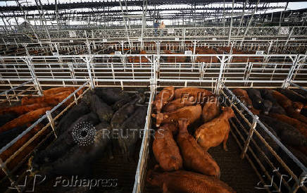 Where's the beef? Argentine steak exports slide as strong peso inflates costs