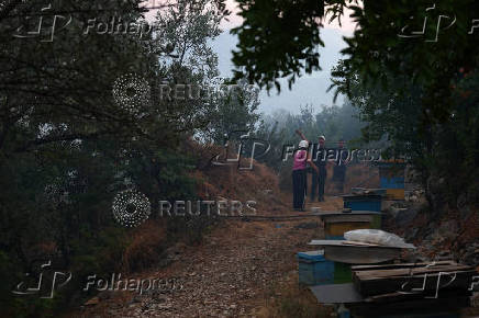 Wildfire in Albania