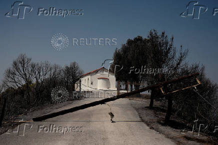 Wildfire burns houses, factories forcing evacuations near Patras