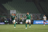 Palmeiras x Bahia - Brasileirão 2025