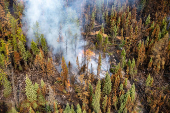 Smoke rises from wildfire LWF090, the Caribou Lake Wildfire in Alberta