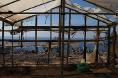 Wildfire burns in Ierapetra on the island of Crete