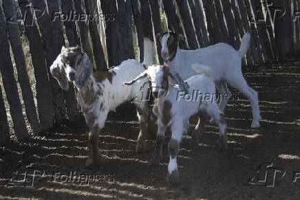 Agropecuaria