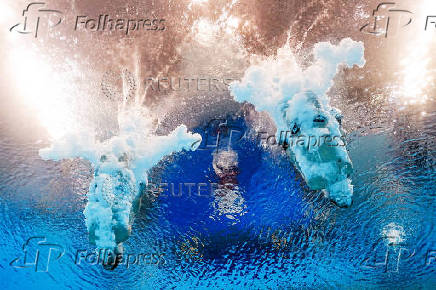 World Aquatics Championships