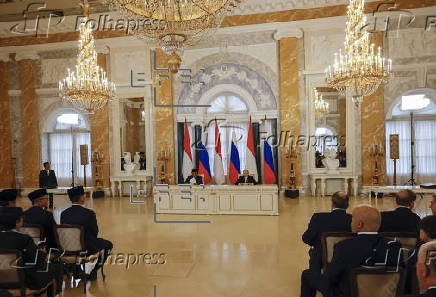 Russian President Putin meets Indonesian President Subianto in St. Petersburg