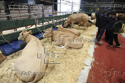El potente sector rural de Argentina abre su tradicional feria entre reclamos a Milei