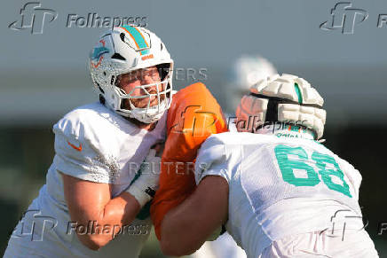 NFL: Miami Dolphins Training Camp