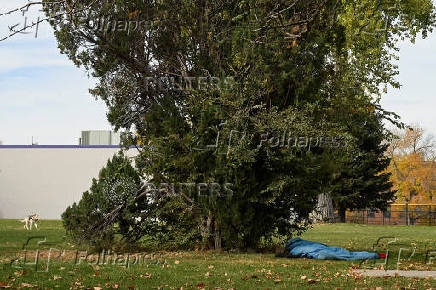 Food pantry is busy, weeks into the continuing U.S. government shutdown, in Denver