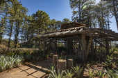 Jardim Japonês no Jardim Botânico de Brasília