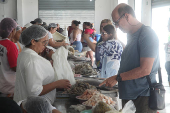 Venda de peixes