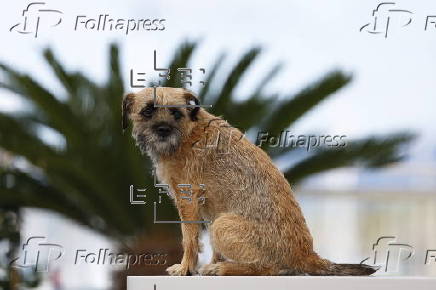 Directors of Short Films in Competition - Photocall - 78th Cannes Film Festival