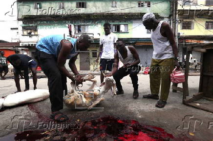 Eid al-Adha celebrations in Ivory Coast