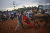 Corridas de toros en el interior de Panamá: cultura, música y valentía