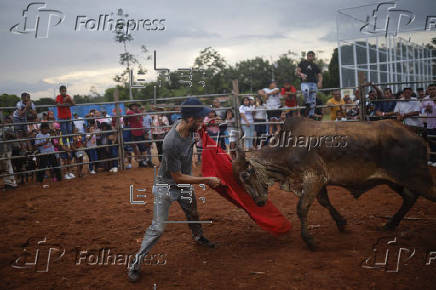 Corridas de toros en el interior de Panamá: cultura, música y valentía