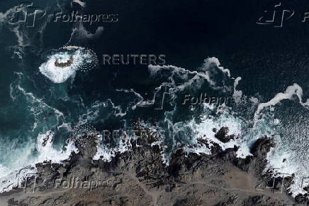 Chile's submarine forests that provide food, jobs and oxygen