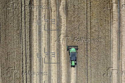 Record rise in agricultural revenue in Turkey