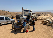 Palestinians accuse settlers of slaughtering their sheep