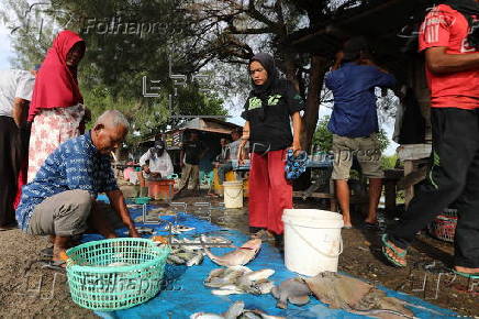 Daily life of fishermen in a traditional fishing port