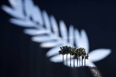 Features - 78th Cannes Film Festival