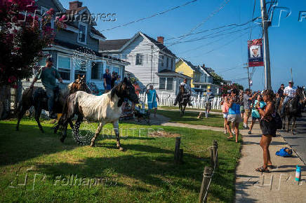 100th annual Chincoteague Pony Swim