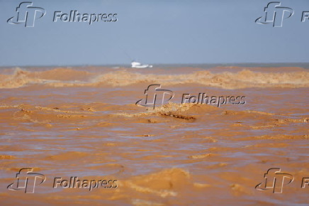 Praia de Regência, em Linhares (ES), recebe lama de Mariana (MG)