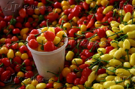 Pimenta de cheiro. (Belém, PA,