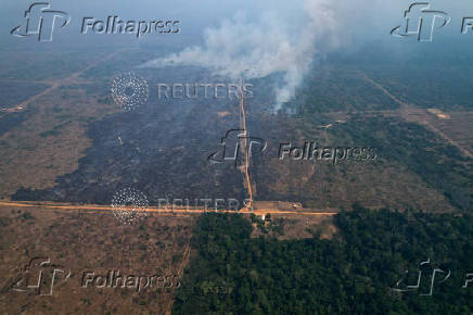 Illegal loggers are key players in carbon credit schemes in Brazil