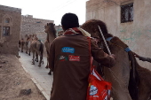 Climate change impacts herders in Yemen